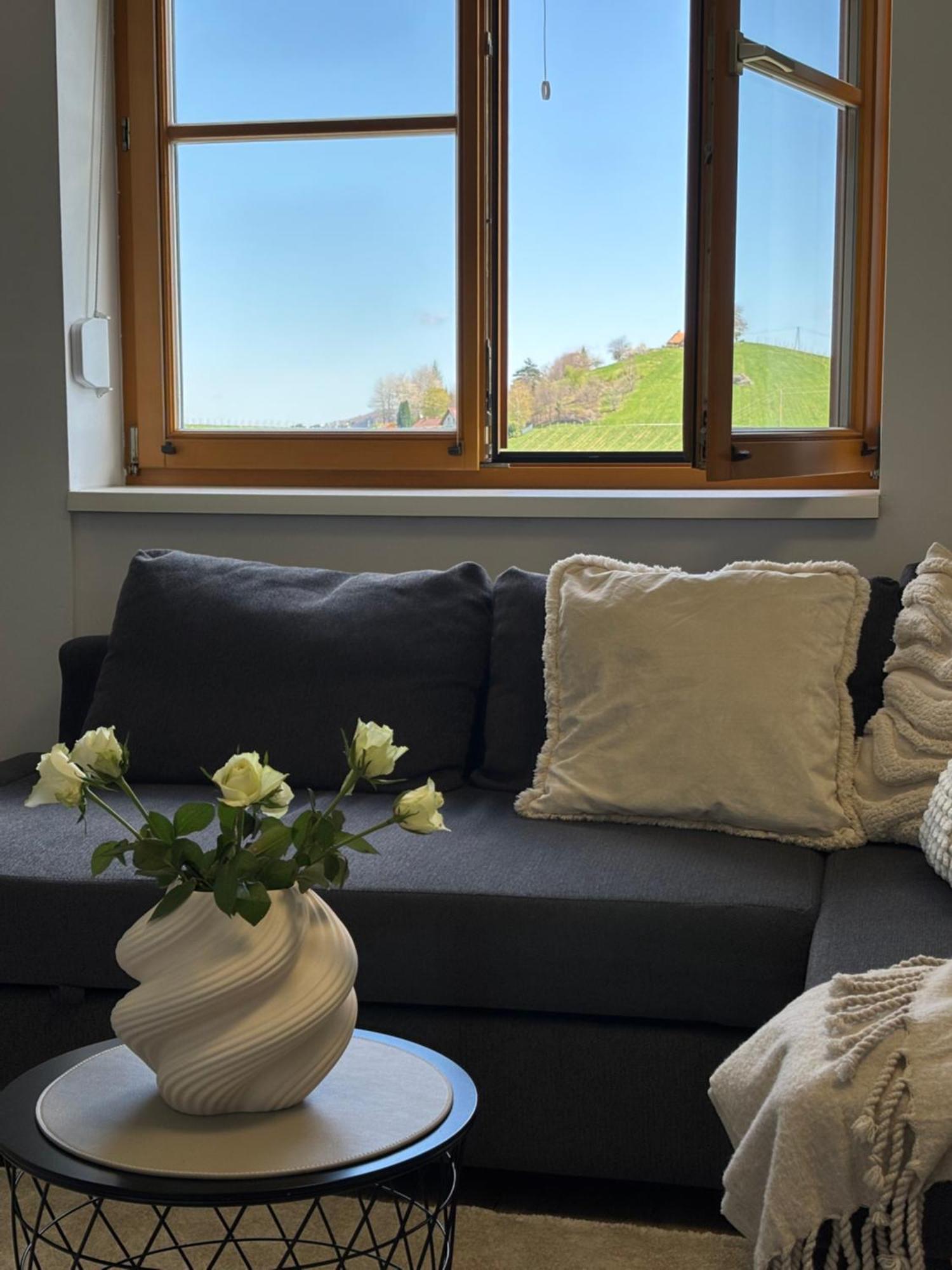 Glanz Und Gloria Weingartenapartment An Der Kellerstrasse, Viele Buschenschaenke, Sehr Ruhige Lage, Herrliche Aussicht! Лойчах Экстерьер фото